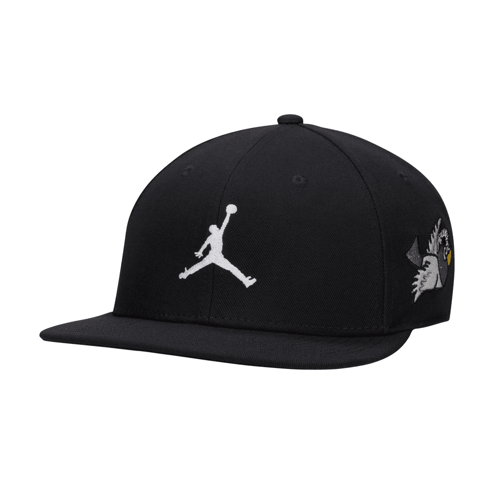 jordan pro jumpman classic hat
