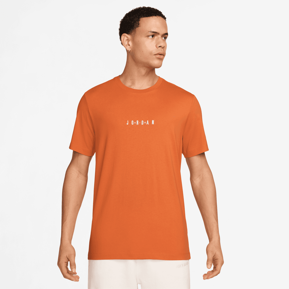 Jordan Air Men's T-Shirt 'Starfish/Sail'