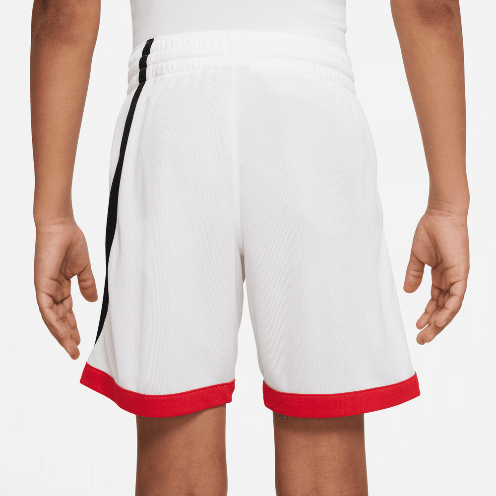 nike b nk df hbr basketball short