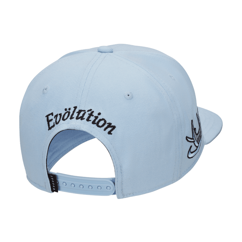 Jordan Pro Cap Adjustable Hat 'Royal Tint/White/Black'