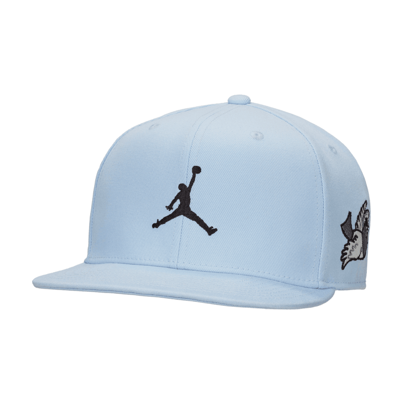 Jordan Pro Cap Adjustable Hat 'Royal Tint/White/Black'