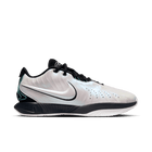 LeBron James LeBron XXI "Conchiolin" Basketball Shoes 'White/Black/Photon Dust'
