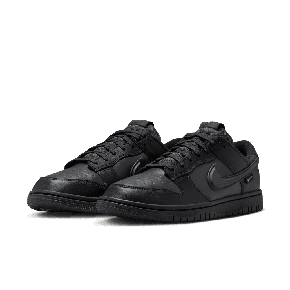 Nike Dunk Low GORE-TEX Men's Shoes 'Black/Anthracite'