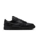 Nike Dunk Low GORE-TEX Men's Shoes 'Black/Anthracite'