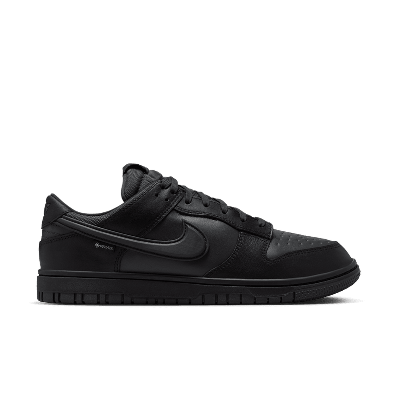 Nike Dunk Low GORE-TEX Men's Shoes 'Black/Anthracite'
