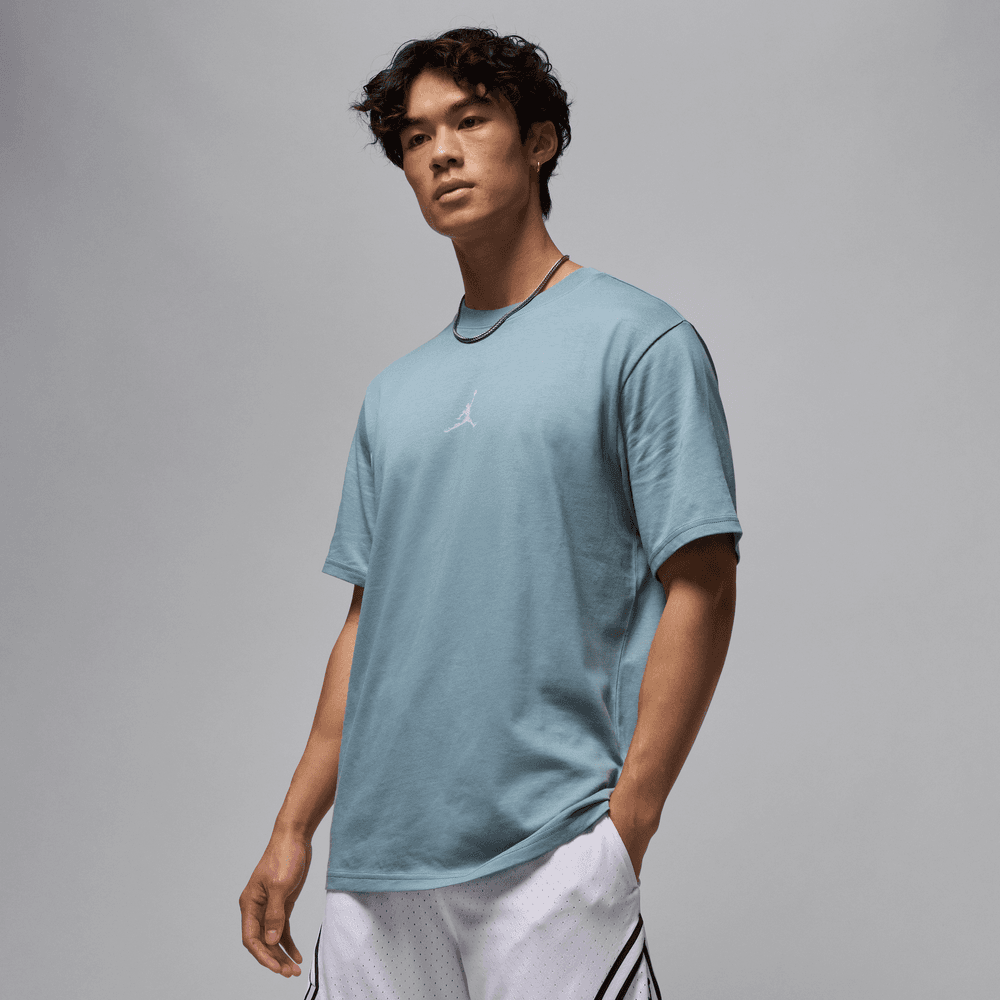 Jordan Sport Men's Dri-FIT T-Shirt 'Aviator Grey'