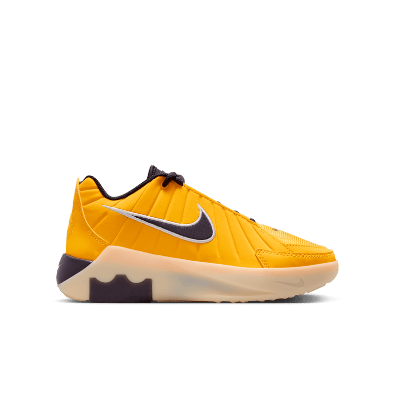 LeBron James LeBron Witness 9 Big Kids' Basketball Shoes (GS) 'Amarillo/Purple'