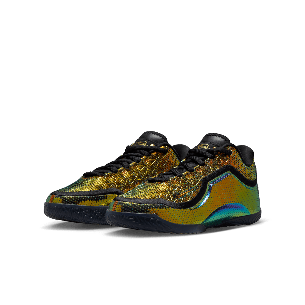LeBron James LeBron XXIII "Uncharted" Big Kids' Basketball Shoes (GS) 'Multi/Black'