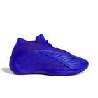Adidas Anthony Edwards AE 2 J Kids Basketball Shoes 'Lucid Blue'