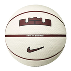 Nike LeBron James Playground 2.0 Basketball Size 7