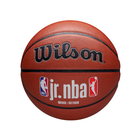 Wilson Jr. NBA Authentic Indoor/Outdoor Size 5 Basketball