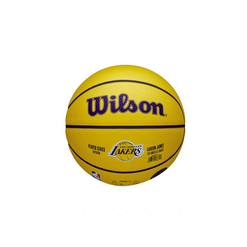Wilson NBA Player LeBron James Icon Mini Basketball