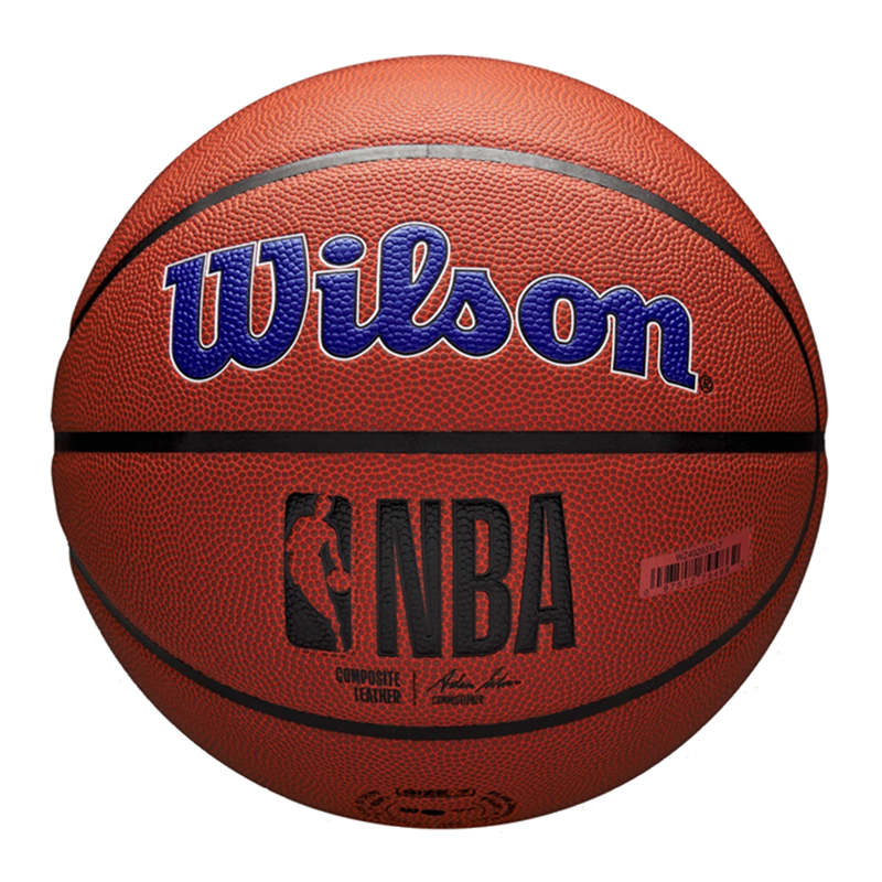 Wilson Golden State Warriors NBA Team Alliance Size 7 Basketball