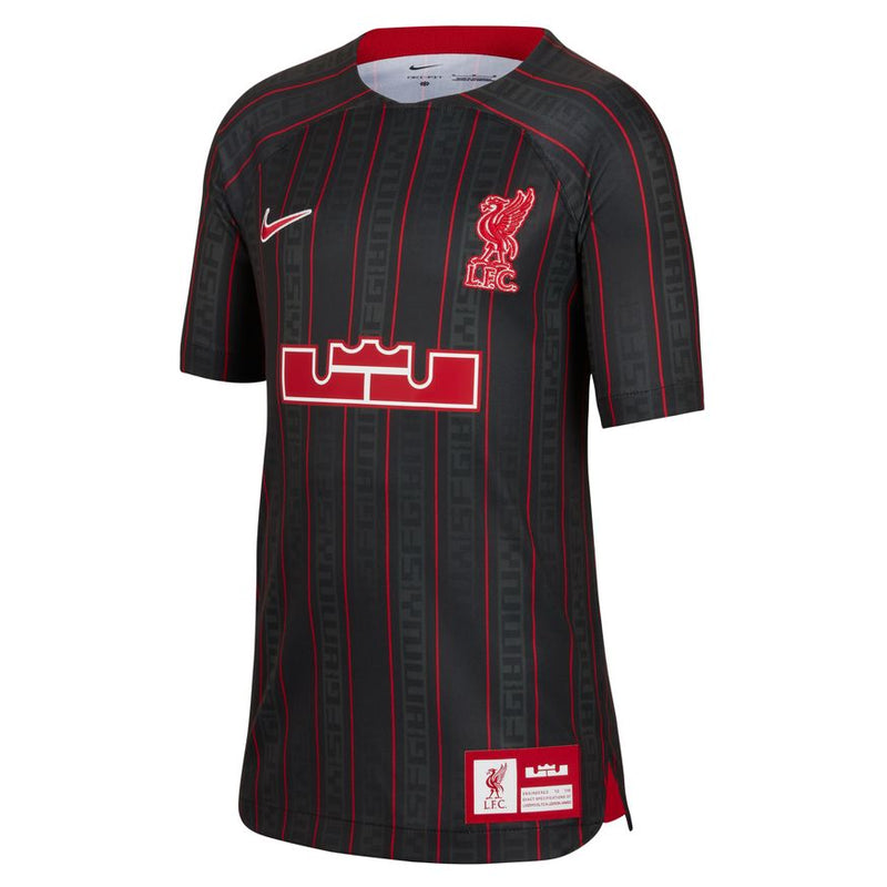 LeBron x Liverpool FC Big Kids' Nike Dri-FIT Stadium Soccer Jersey 'Anthracite/Red'