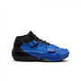 Zion 2 PF Big Kids (GS) Basketball Shoes 'Royal/Black'