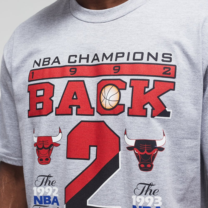 M&N Last Dance Bulls B2B Champs Tee 'Grey'